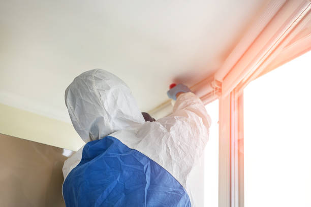 Corbin, KY Mold Removal & Remediation Company