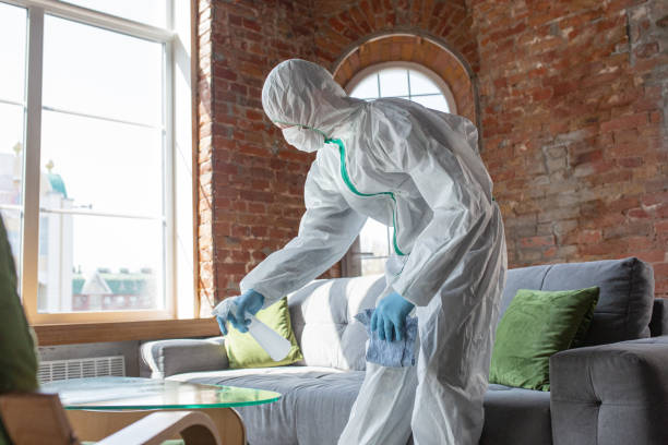 Mold Remediation for Rental Properties in Corbin, KY